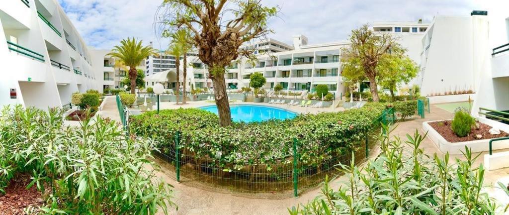 Optimist Playa De Las Americas Apartment Ngoại thất bức ảnh